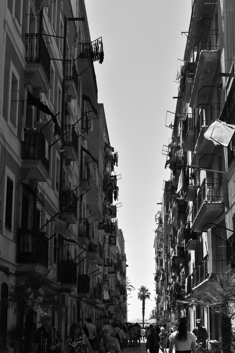 #Barcelona #photography #photo #bnwphotography #blackandwhite #blackandwhitephotography #blackandwhitephoto #blackandwhitephotos #monochromephotography #Monochrome #foto #street #streetphotography #streetphoto #urbanphotography #noiretblanc #cityscapes #nikon #nikonphotography