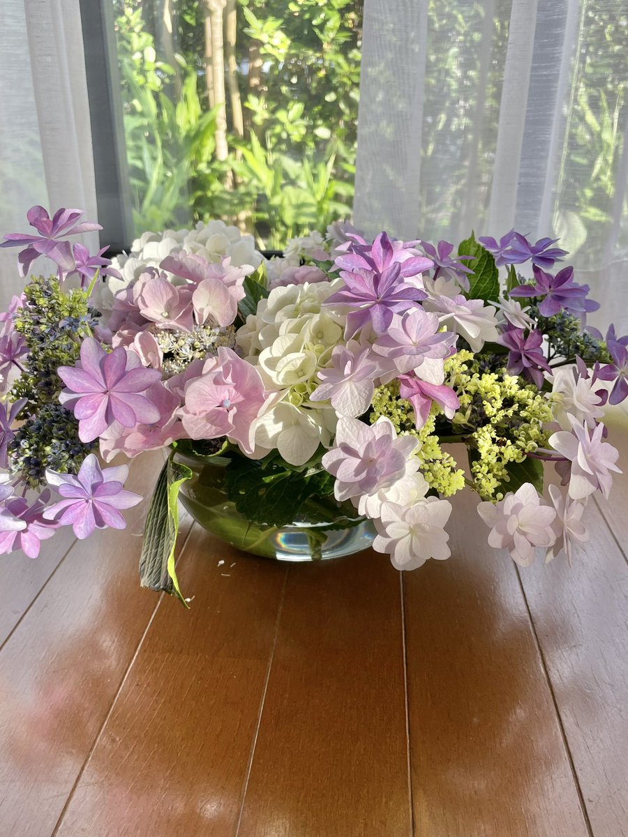 母が雑にいけたウチの紫陽花がかわいい