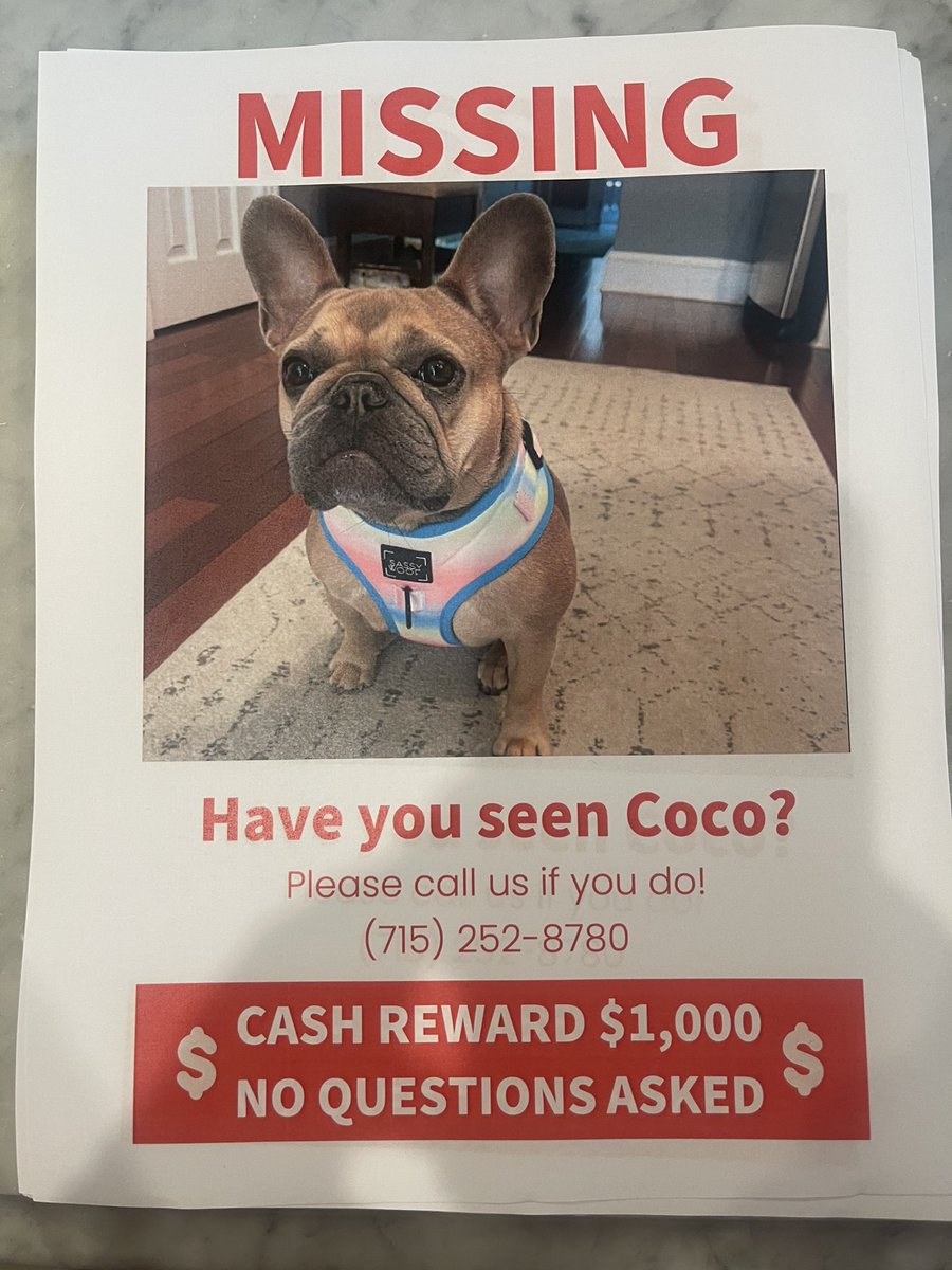 mikeVDH88's tweet photo. Still looking for Coco in Shaw/Mt Vern Tri/Bloomingdale/Eckington. Cash and no questions asked for her safe return. Call me! Thank you for all the support @popville @WashProbs @MtVernonTri https://t.co/pdyM80PwDB