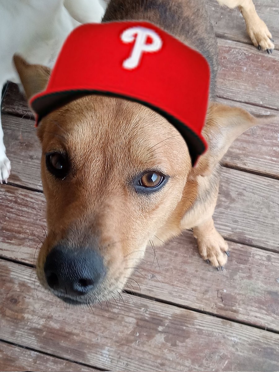 VTwins2008's tweet photo. BREAKING NEWS: Phillies are to fire Major and bring in the interm-manager Spot. Source tells @VTwins2008 all about the firing of Major!!! #ThisIsFake #ThisIsTheWay https://t.co/cnABBTTDzj