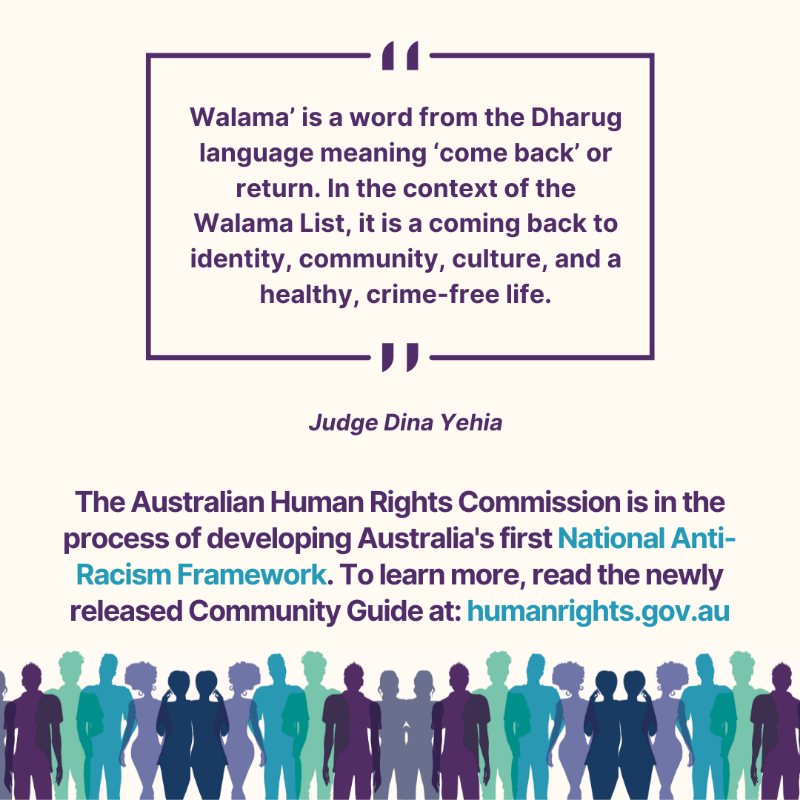 AusHumanRights's tweet photo. Structural racism permeates the justice and child protection systems. We urgently need a national framework for addressing racism in this country.

#NARF #CommunityGuide #AusAntiRacism