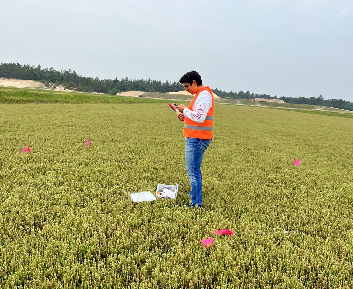 Leslie Holland, PhD (@leslieholland_) on Twitter photo Setting up a new field trial at the Wisconsin #cranberry research station with PhD student, Eithan, to investigate the interactions between fungicides and solar shading on cranberry fruit rot development. More to come this summer! <a href="/SAME_Cran/">SAME Project</a> Setting up a new field trial at the Wisconsin #cranberry research station with PhD student, Eithan, to investigate the interactions between fungicides and solar shading on cranberry fruit rot development. More to come this summer! <a href="/SAME_Cran/">SAME Project</a>