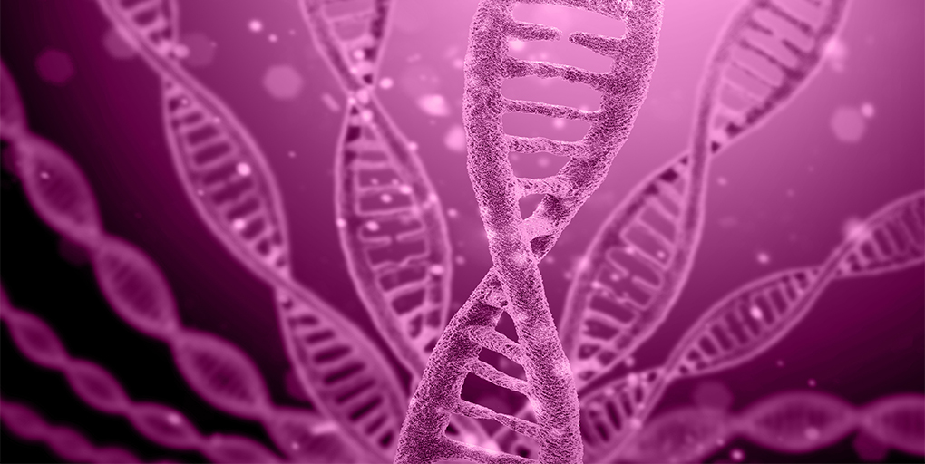 CD_AACR's tweet photo. Read this week's #ResearchWatch:
Estrogen-Induced Translocations Precede Amplification in #BreastCancer, a summary of the paper by @jakelee0711, @peter_j_park et al.
https://t.co/hNAZ6MNc2y
@harvardmed https://t.co/WN2DnyQEG3