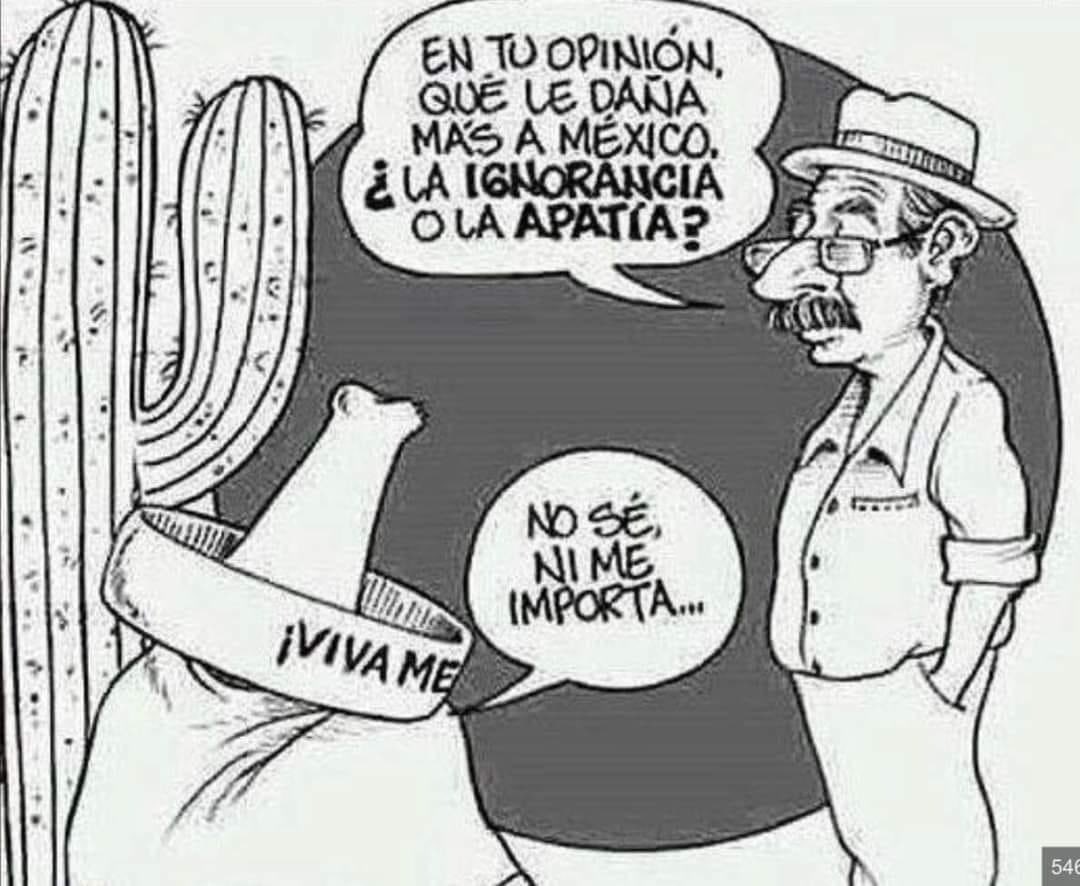 ruizeloise's tweet photo. Mi México mágico https://t.co/n0jEFcgamK