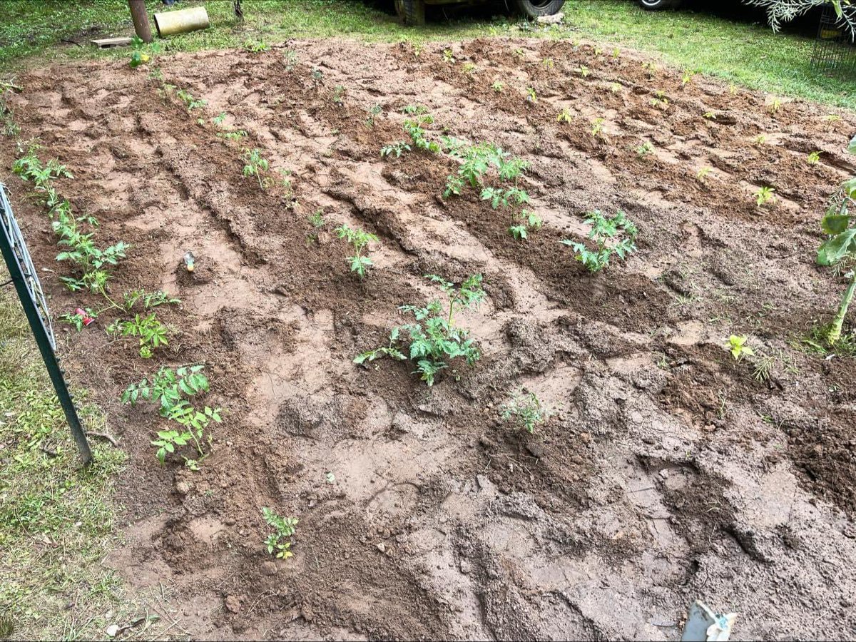 318Pooh's tweet photo. Y’all got your garden going yet?!!! https://t.co/oJ9FYBlF4y