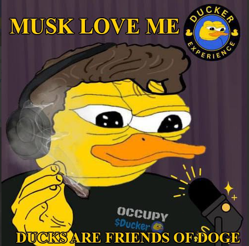 Mongcryptz's tweet image. $DUCKER #SAFETEAM #DUCKER #DUCKSEASON