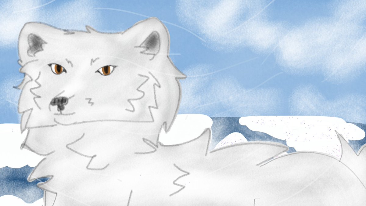 #DechARTJune 
Day 5 - Arctic.
This is an arctic wolf, existing.