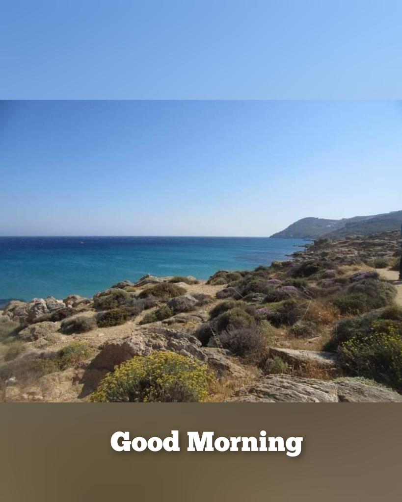 . <a href="/misya13kae31y/">MAYUMI いいねだけかもです宜しく🙏🏼</a> Good morning:-)