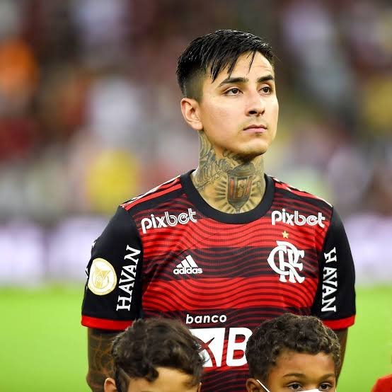 MonkProfit's tweet photo. MEU MONSTRO FAIXA PRETA 🥋 https://t.co/fPyXO0ElYz