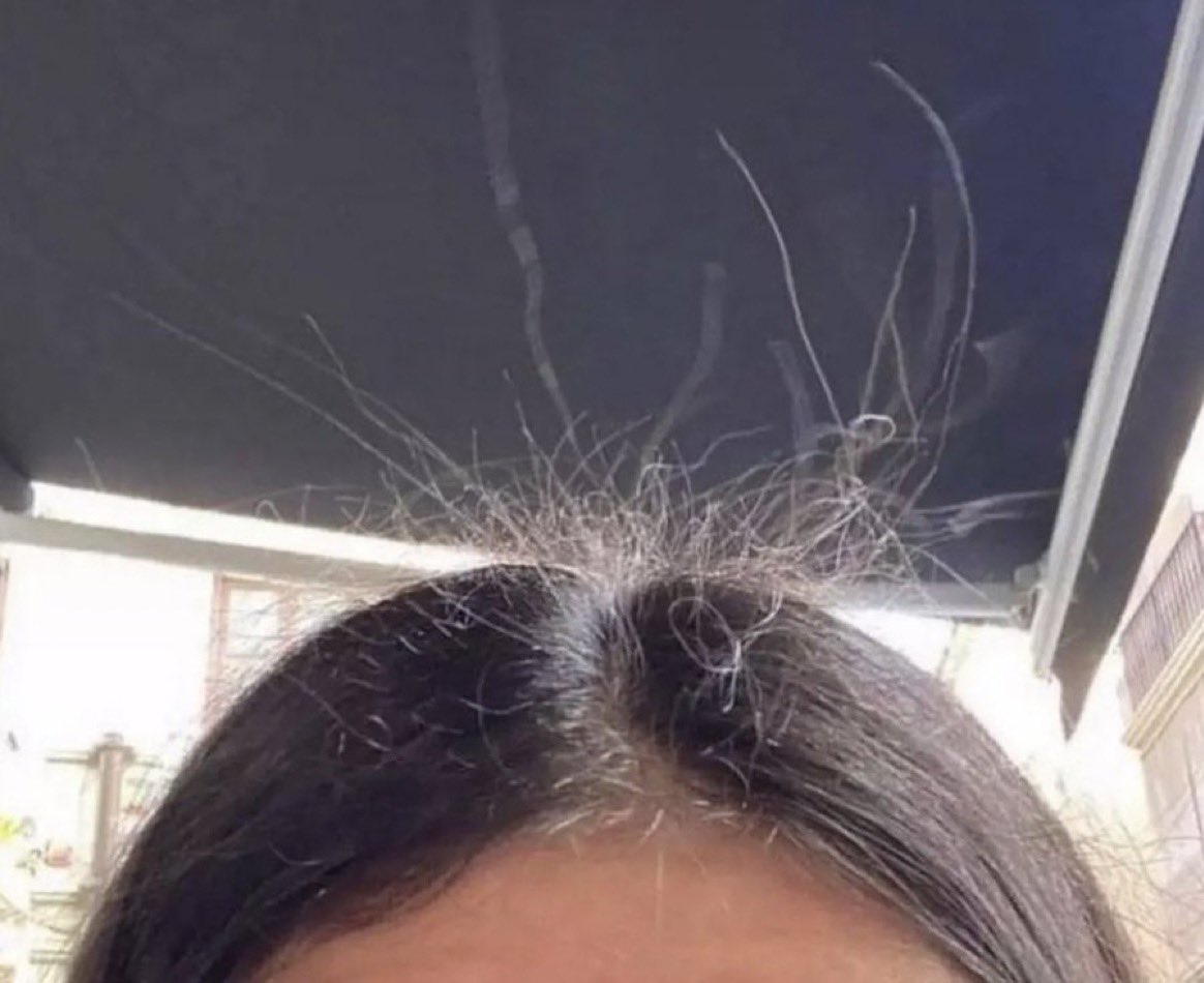 ce que toutes les femmes détestent