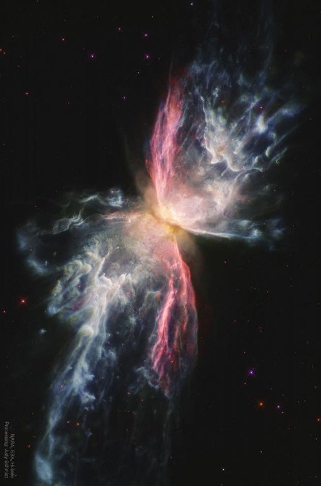📷 Iron in the Butterfly Nebula © Hubble tmblr.co/ZHSGxTdRxQQk0e…