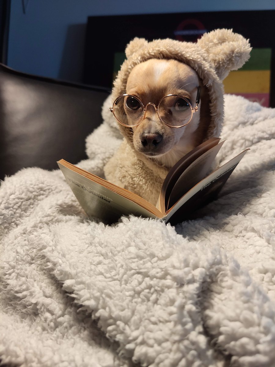 YarraLibraries's tweet image. There’s something especially comforting about curling up in your favourite reading spot. Where do you guys like to snuggle up and read? #WWR23 #CloudLibrary @libbyapp_ANZ @publibrariesvic