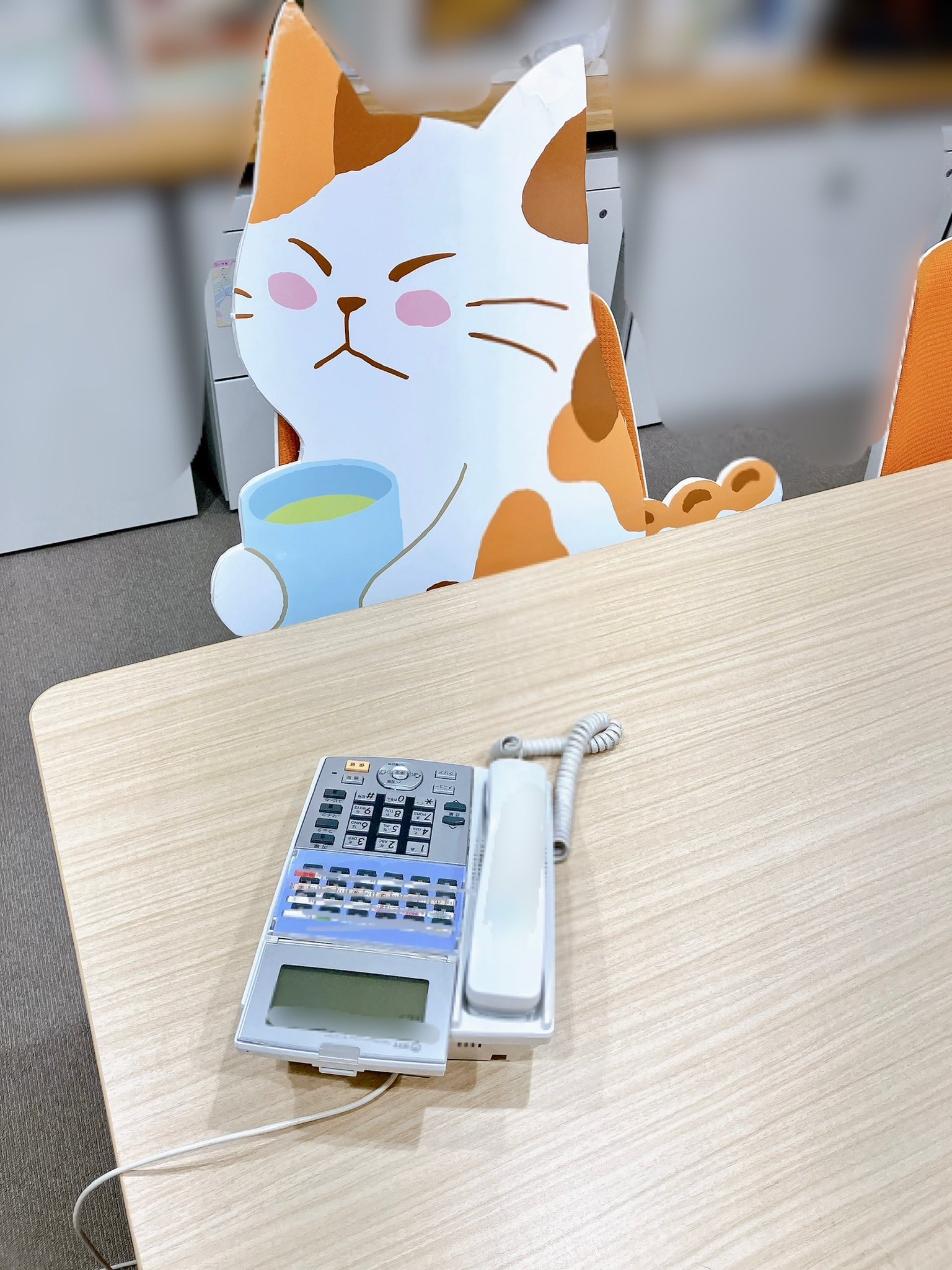 たしろ屋 3冊猫本 カボチャの冒険☆もっとやにゃかさんぽ☆ 今日も