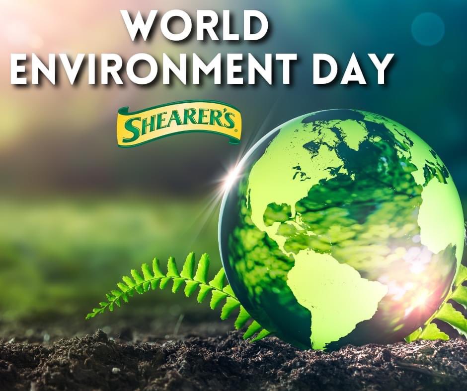 ShearersCareers's tweet photo. Happy World Environment Day! It's up to us to make a positive difference for our planet. Every action counts no matter how small
🌍🌿🌳

Together we can create a brighter &amp; cleaner future for our planet. 🌍🌿🌳 https://t.co/lQ1nAr9HEn