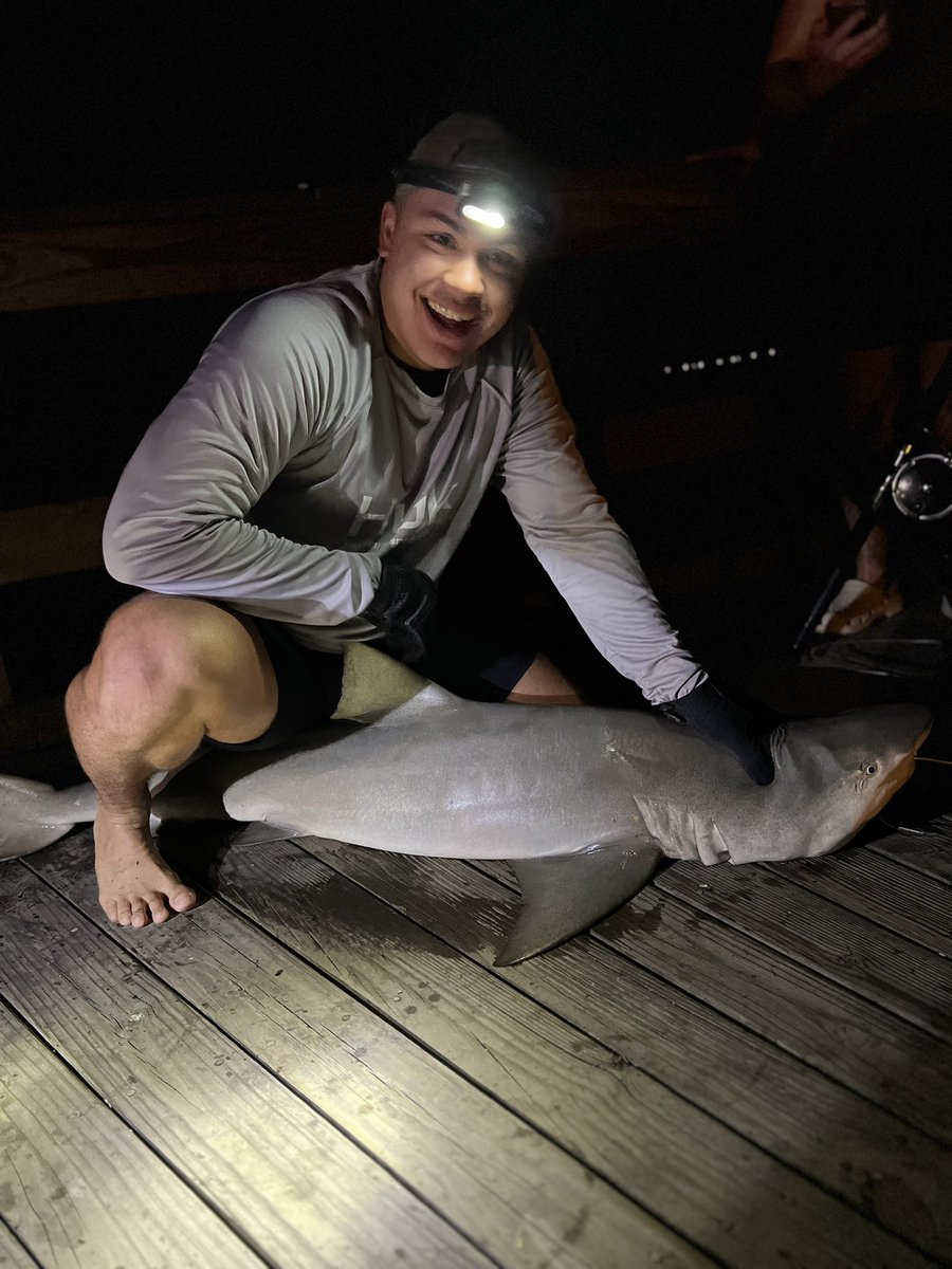 FatherJohn1178's tweet photo. 6 foot lemon shark one of our marines caught on a Bonita  300 yards out https://t.co/H6L01QEBiT