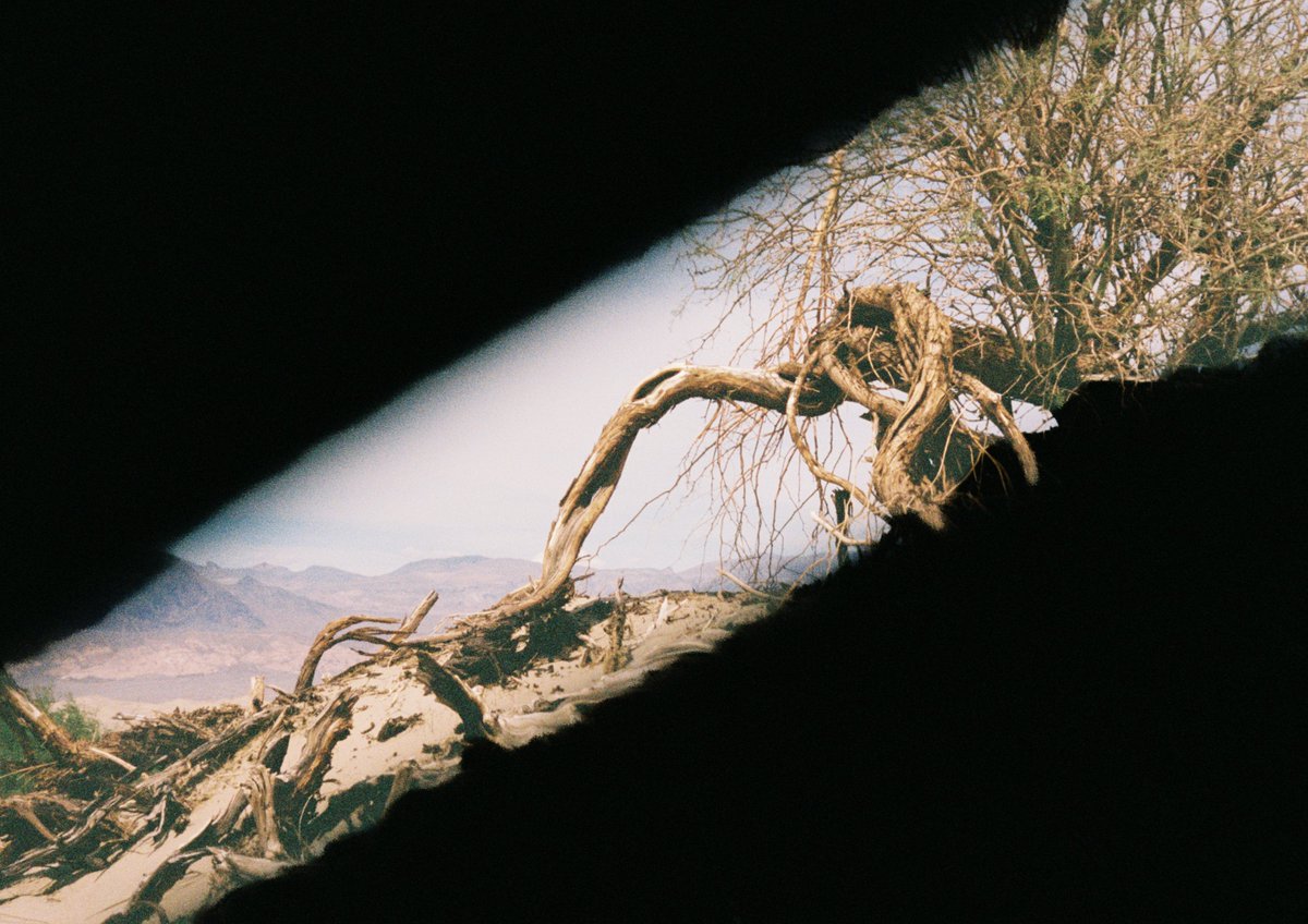 ericboockford's tweet image. Busted Up Desert Camera Vibes