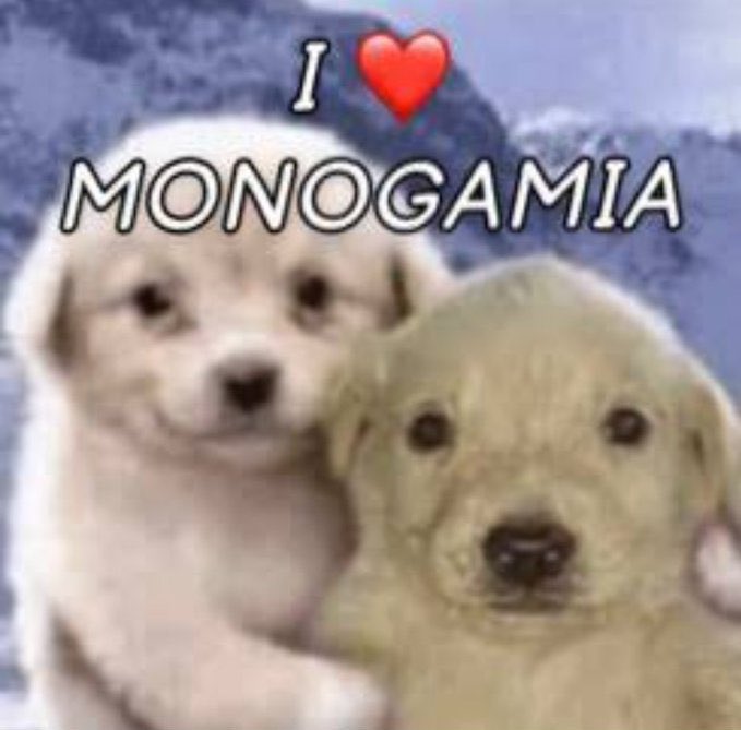 lebandro's tweet photo. eu amo amo amo amo amo https://t.co/UpxcYXkpeI