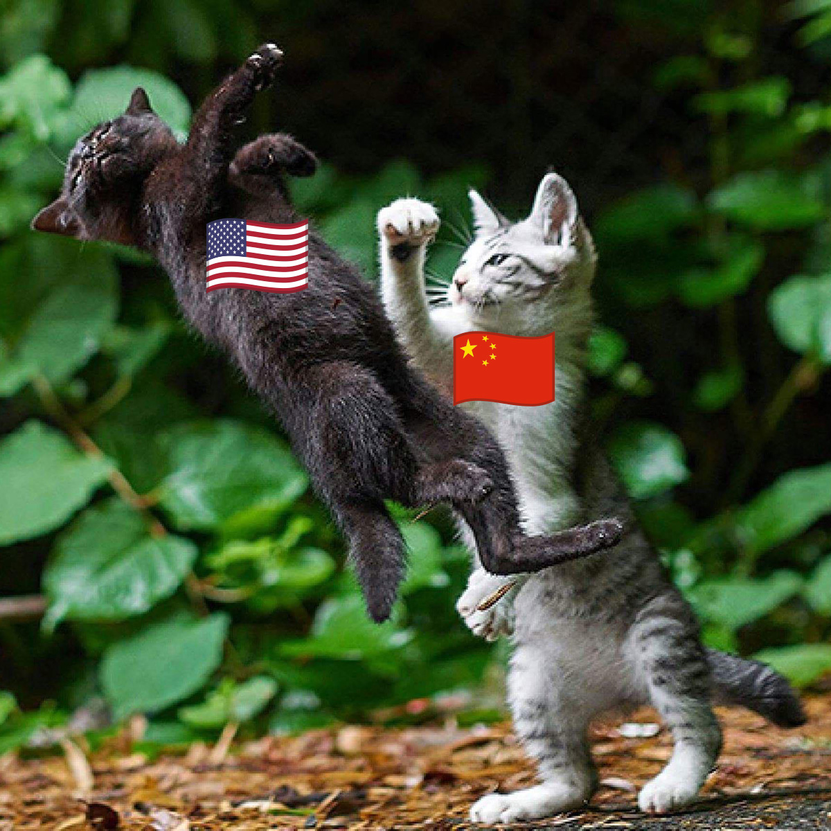 mike4evolution's tweet photo. The United States is at risk of losing economic leverage and international financial power if Beijing continues to dictate the norms and regulations of digital currencies.
#AntiDollar #eYuan #Yuan #CBDC #DeDollarization #DeAmericanization https://t.co/7JNiIcr26N