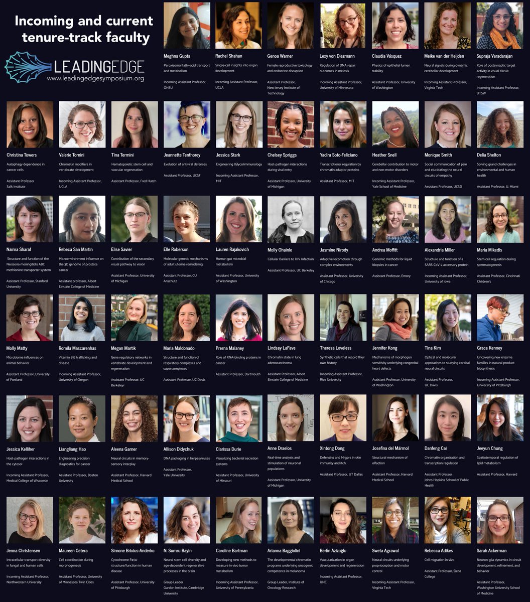 Leading Edge is celebrating a milestone: over 50 members of the Leading Edge community have now accepted faculty positions! 💫🍾 Looking for a lab to join, or a seminar speaker to invite? leadingedgesymposium.org/fellows Stay tuned: more Fellows announcing new positions soon!