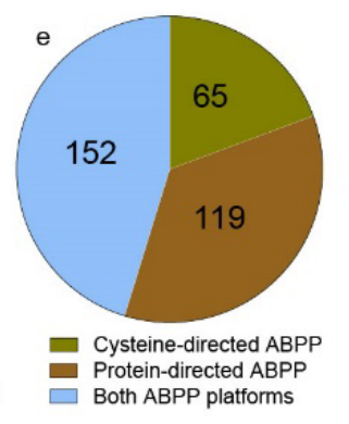 Micah Niphakis (@mjniphakis) on Twitter photo Fascinating new preprint from <a href="/EvertNjomen/">Evert Njomen</a> & the Cravatt Lab highlighting the complementarity of cysteine- and protein-directed ABPP. This study is packed with insights on tackling the limitations of each method and decoding seemingly contradictory data. bit.ly/43Mi3y7 Fascinating new preprint from <a href="/EvertNjomen/">Evert Njomen</a> & the Cravatt Lab highlighting the complementarity of cysteine- and protein-directed ABPP. This study is packed with insights on tackling the limitations of each method and decoding seemingly contradictory data. bit.ly/43Mi3y7