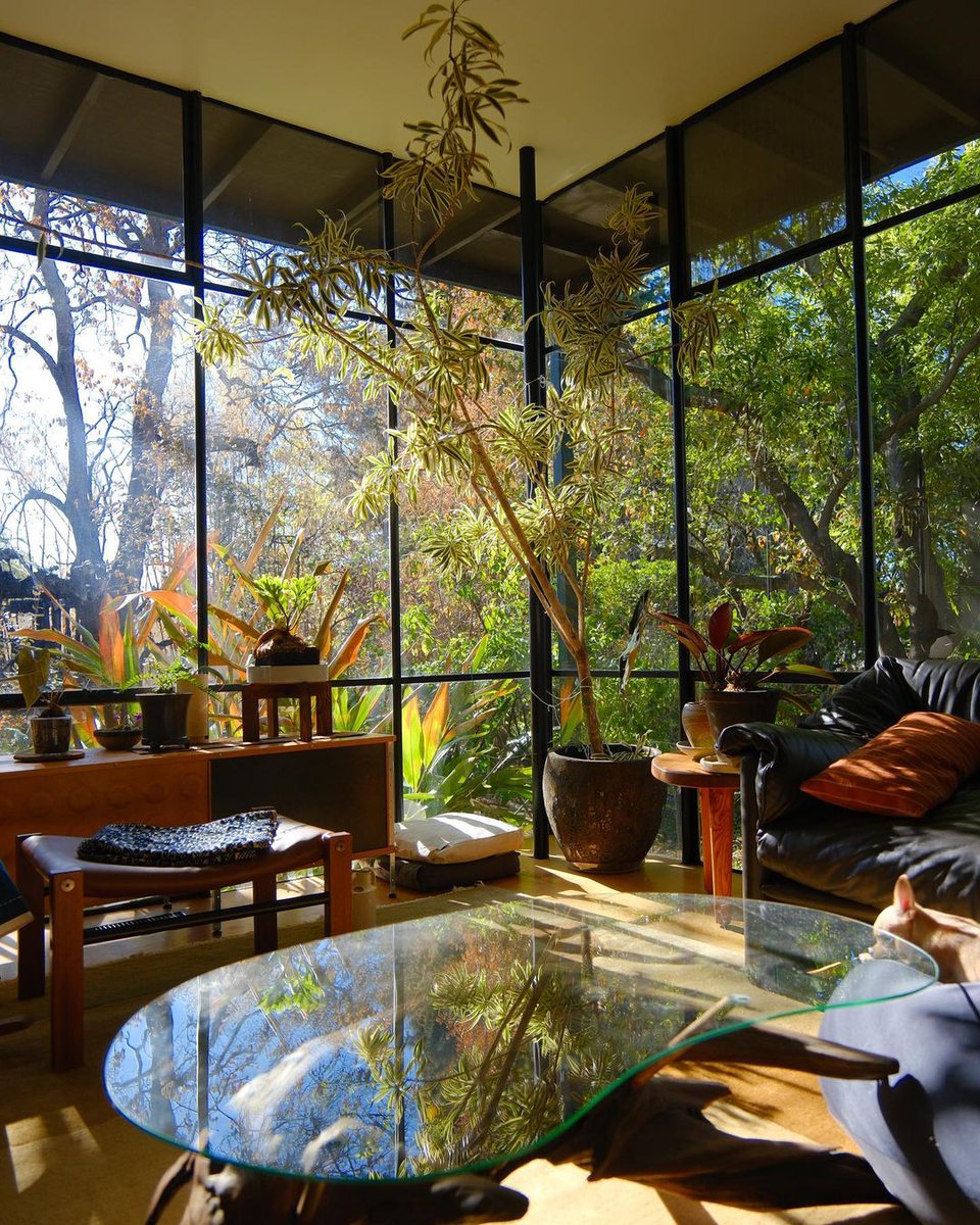 Outside the large floor-to-ceiling windows is a vibrant green forest, which is certainly the best choice for plant lovers.