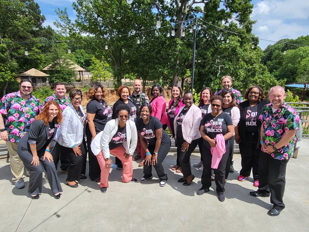 Math_HCS's tweet photo. Birds of a feather flock together! Love my L&P team. We had a great time at the @HenryCountyBOE SLC! #ourflockrocks #ifyouregoingtoleadlead #funsummerlearning @TermerionMLakes @AkbarEducates @robininhampton @GiftedELAGuru @HenryCountySS @klbsci @DataStephens https://t.co/hbQAbUKs8Q