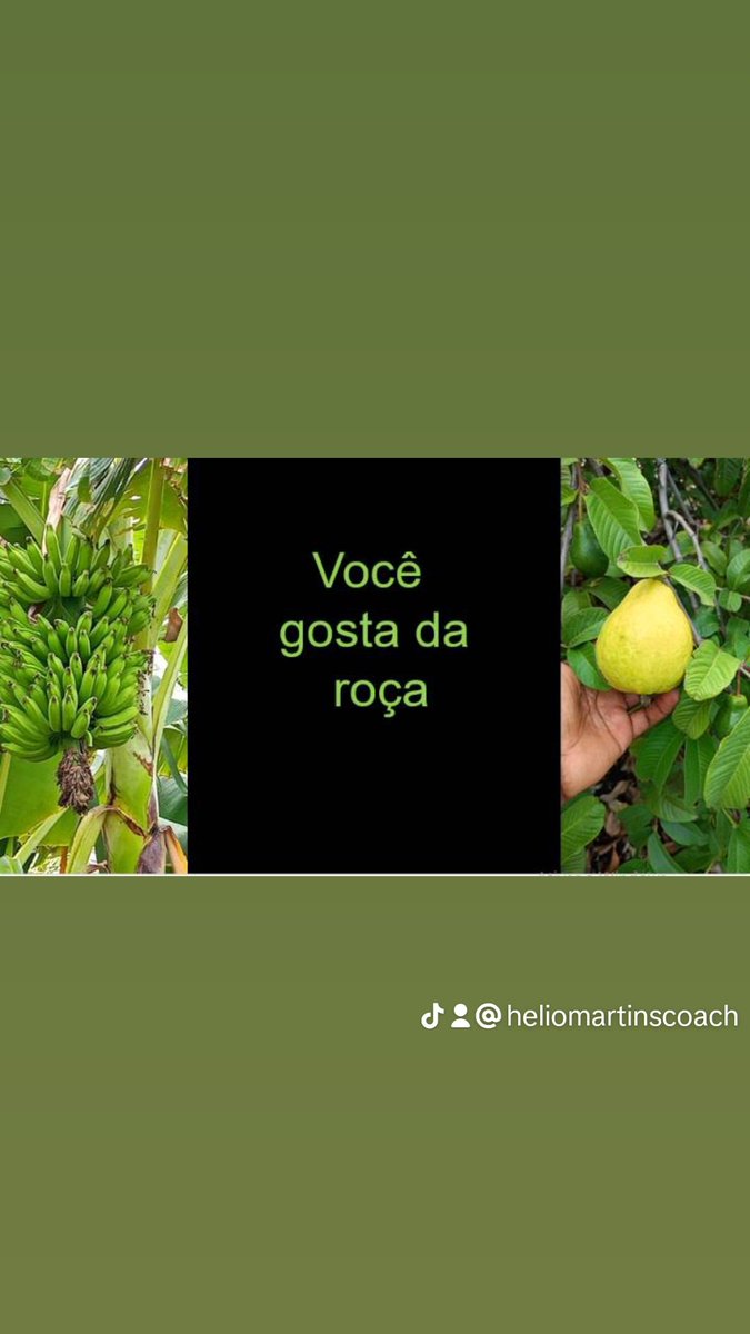 HelioCoach's tweet image. 