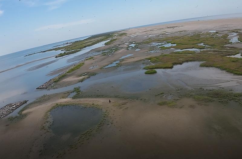 Restore or Retreat tweet media