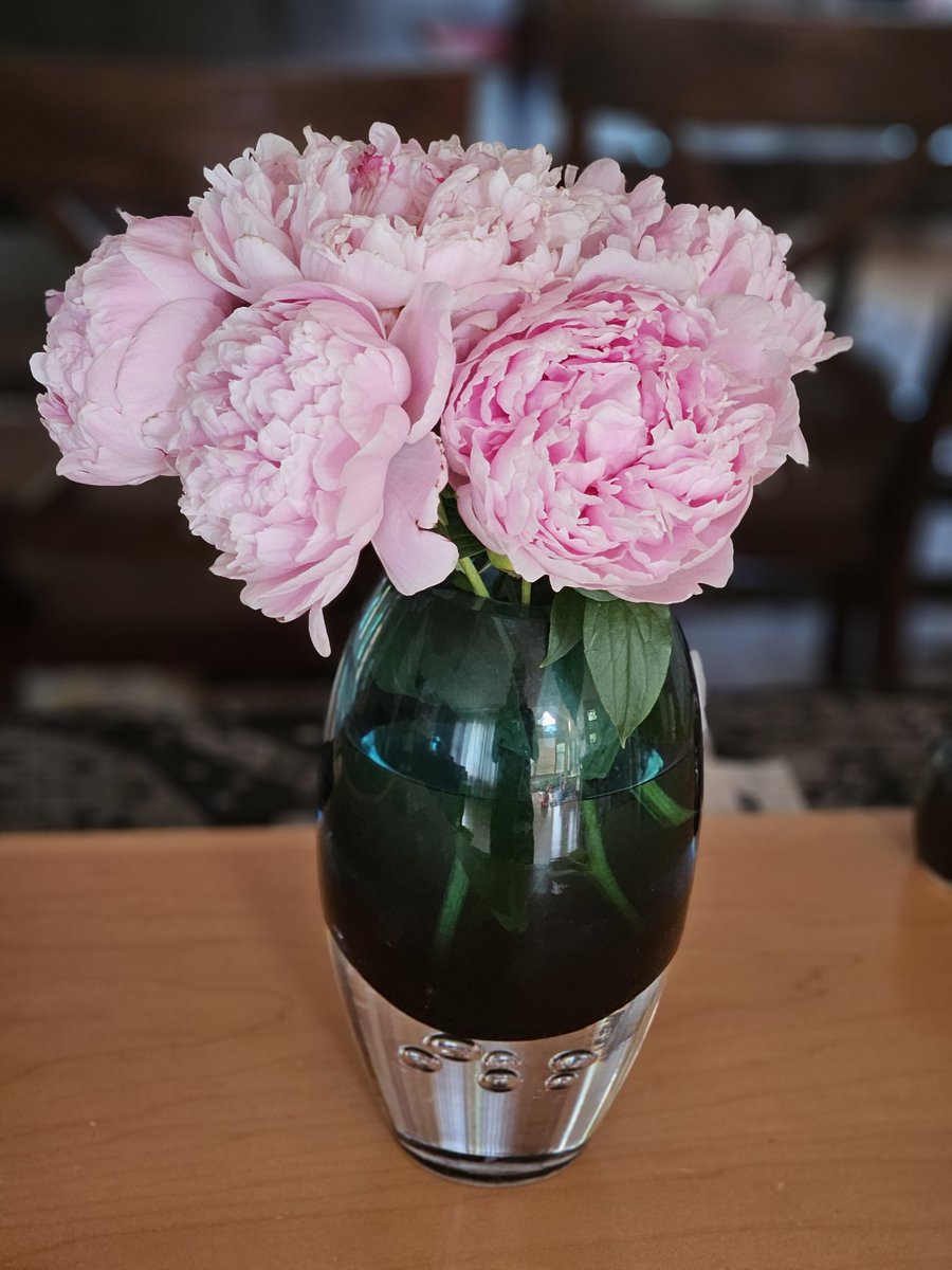 Zachary Shaheen tweet media