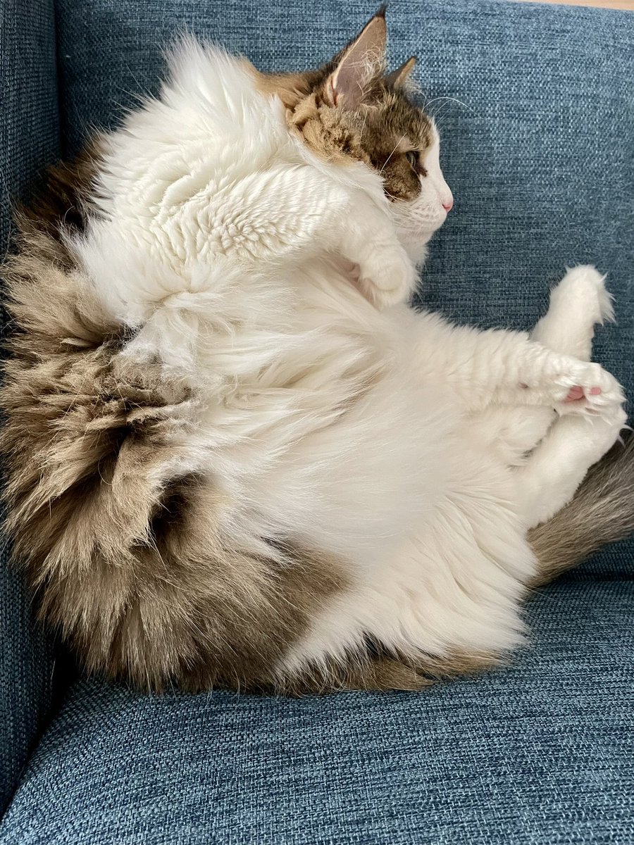 ﾆｬﾓｯ https://t.co/AEnzK2A3bz