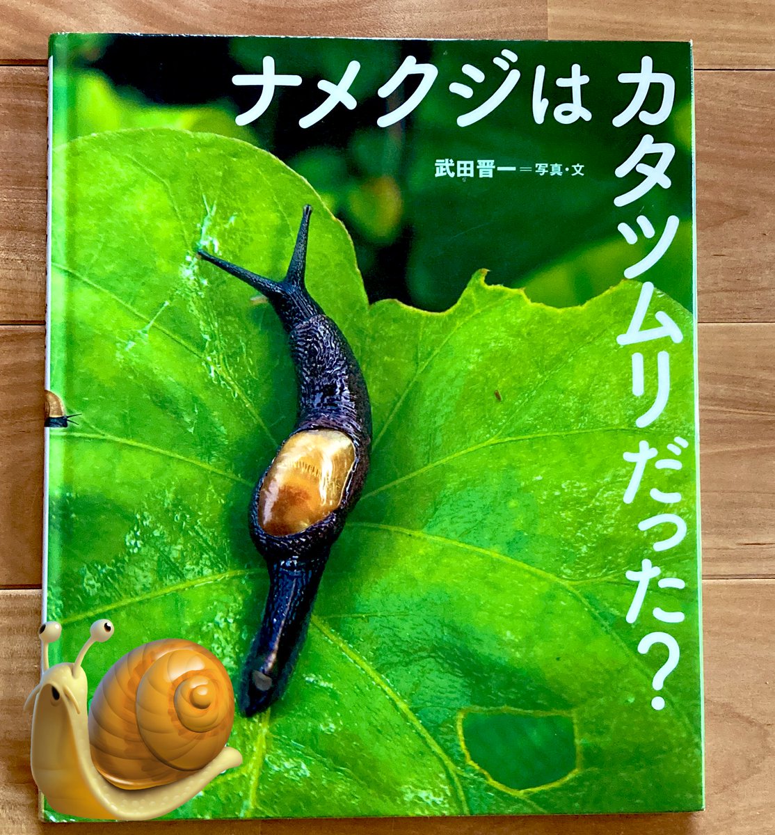 bloglifehacker's tweet photo. 生き物専門のカメラマンさんの本🐌
実はナメクジが苦手だったそう😳

「苦手だから見たくなった」

全国の🐌の繊細写真が沢山！梅雨の時期によく遭遇するこの子たち🐌
大人はｷﾓﾁﾜﾙｲってなりがちだけど、子ども達は興味津々✨
6月の選書にどうぞ📕✨

 #ナメクジはカタツムリだった？ https://t.co/YLaRNrVU2p