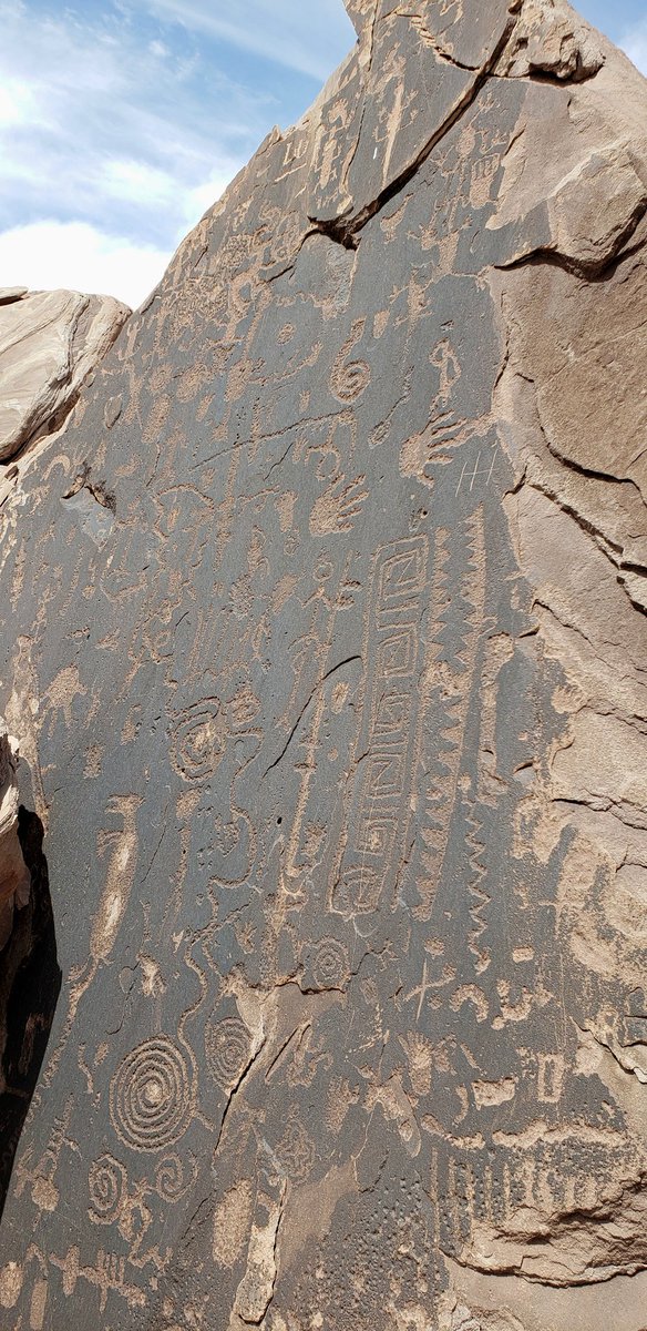 It was a great day to see Eastern Collared Lizards at the Painted Desert Wilderness section of Petrified Forest National Park @PetrifiedNPS. This one posing near a large rock covered with ancient Puebloan petroglyphs.