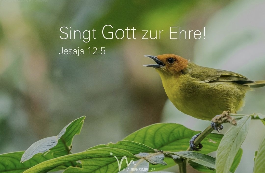 Singt Gott zur Ehre! Jesaja 12:5