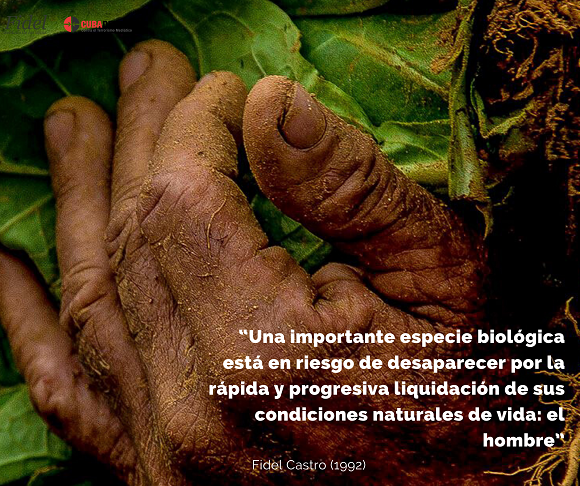 #5dejunio🌲 #DíaMundialDelMedioAmbiente🌎 #FidelPorSiempre🫶