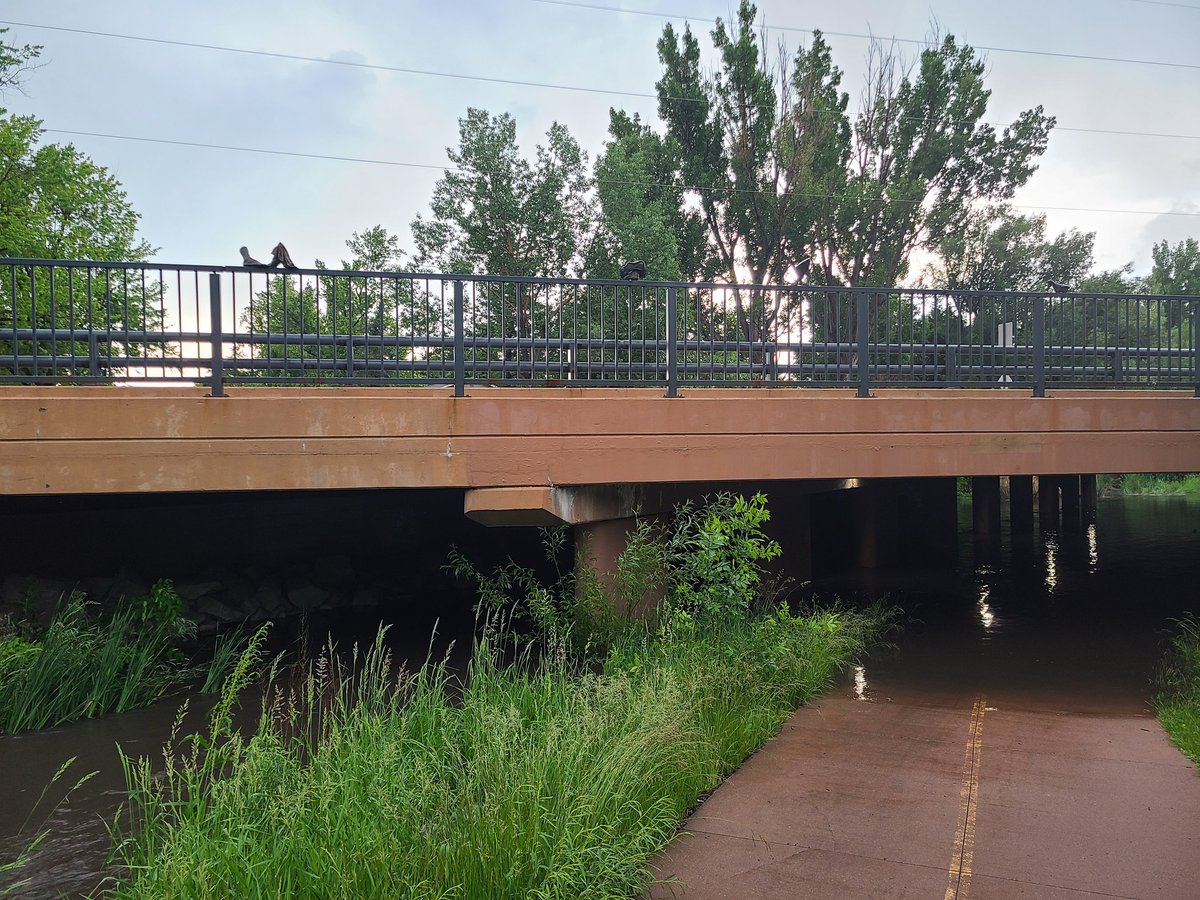 Spring Creek at Ross NA is raging. #cowx #fortcollins @NWSBoulder @FCUtilities