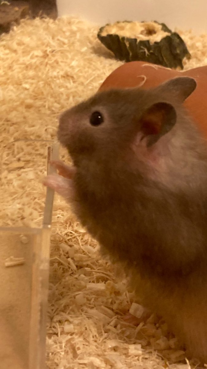 꼬옥잡아주면되