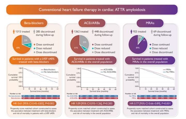 Igor Morr (@igormorr) on Twitter photo No beneficio con tratamiento convencional de la IC(BB + y ACEi/ARB) en la amiloidosis ATTR cardíaca. Excepción: pacientes con FEVI ≤40 % utilizando BB en dosis bajas . doi.org/10.1093/eurhea… <a href="/siac/">siba siac</a> <a href="/gonzaeperez/">Gonzalo Perez</a> <a href="/CardiologiaSVC/">Sociedad Venezolana de Cardiología</a> <a href="/mencardio/">Ivan Mendoza</a> <a href="/meza0208/">yolimar meza</a> <a href="/Lawebdelasalud1/">La web de la salud</a> No beneficio con tratamiento convencional de la IC(BB + y ACEi/ARB) en la amiloidosis ATTR cardíaca. Excepción: pacientes con FEVI ≤40 % utilizando BB en dosis bajas . doi.org/10.1093/eurhea… <a href="/siac/">siba siac</a> <a href="/gonzaeperez/">Gonzalo Perez</a> <a href="/CardiologiaSVC/">Sociedad Venezolana de Cardiología</a> <a href="/mencardio/">Ivan Mendoza</a> <a href="/meza0208/">yolimar meza</a> <a href="/Lawebdelasalud1/">La web de la salud</a>