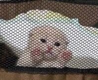 ‎ ‎ ‎ ‎‎ ‎ ‎‎ ‎‎ ‎ ‎‎ ‎ ‎ ‎‎ ‎ 💛 ‎ ‎ ‎ ‎‎ ‎ ‎ ‎ ‎ (@gcidenheart) on Twitter photo 