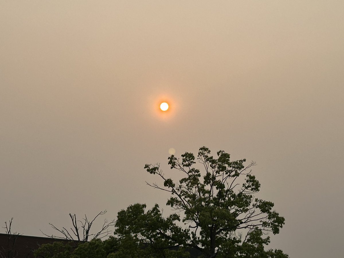 Look what these forest fires are doing to our sun….
#Ottawa #forestfires