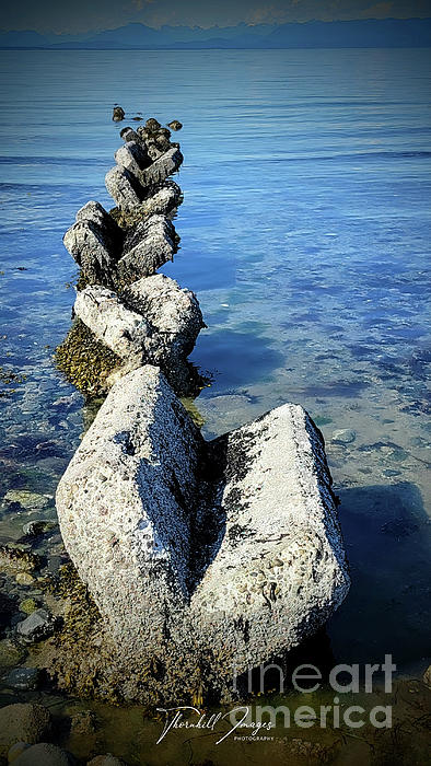 ThornhillImages's tweet photo. New artwork for sale! - "Concrete Jacks" - https://t.co/iBvAqdPSO8 @fineartamerica https://t.co/pmvm2zYld0
