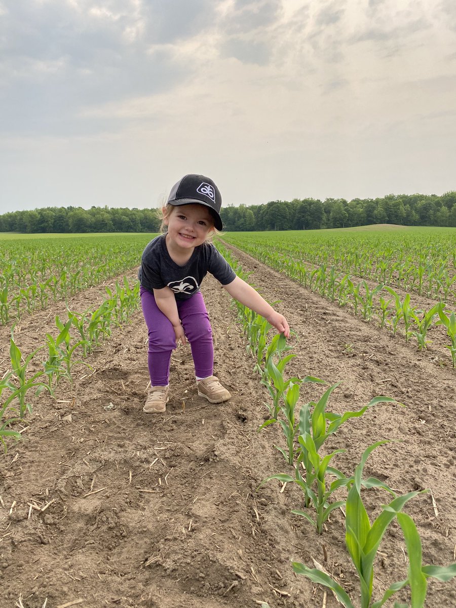 Toddridge Farm Services Ltd. tweet media