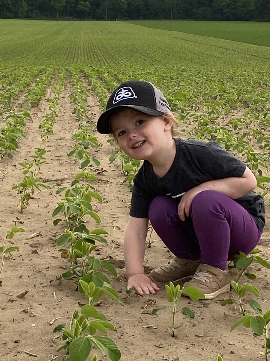 Toddridge Farm Services Ltd. tweet media