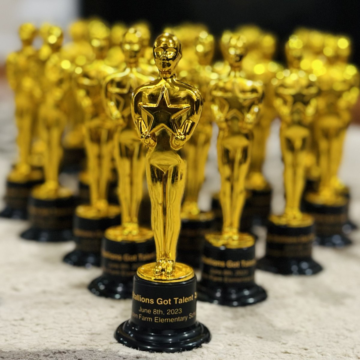 We are ready for “Stallions Got Talent” on Thursday June 8, 2023. Doors open at 6 and show starts at 6:30.

Tickets will be available at the door for $1.00 at a first come first serve basis. 

We look forward to seeing you!