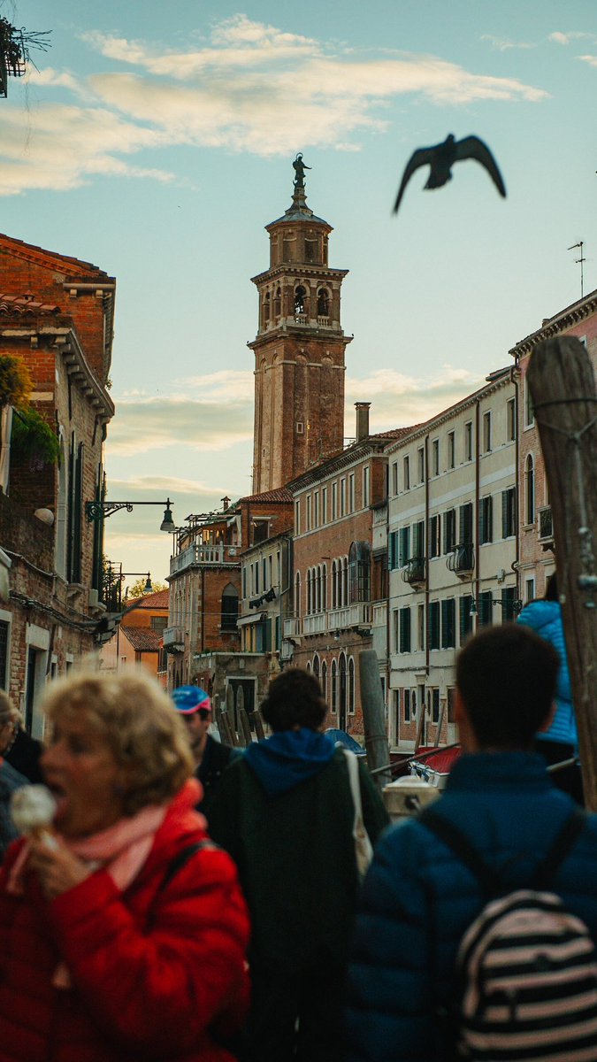 stevensaborio1's tweet photo. Venice, 🇮🇹 part II #photography #travel https://t.co/T6aSC6Uxg6