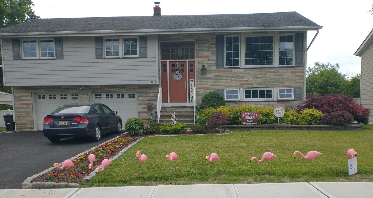 vhs spotlight players tweet media