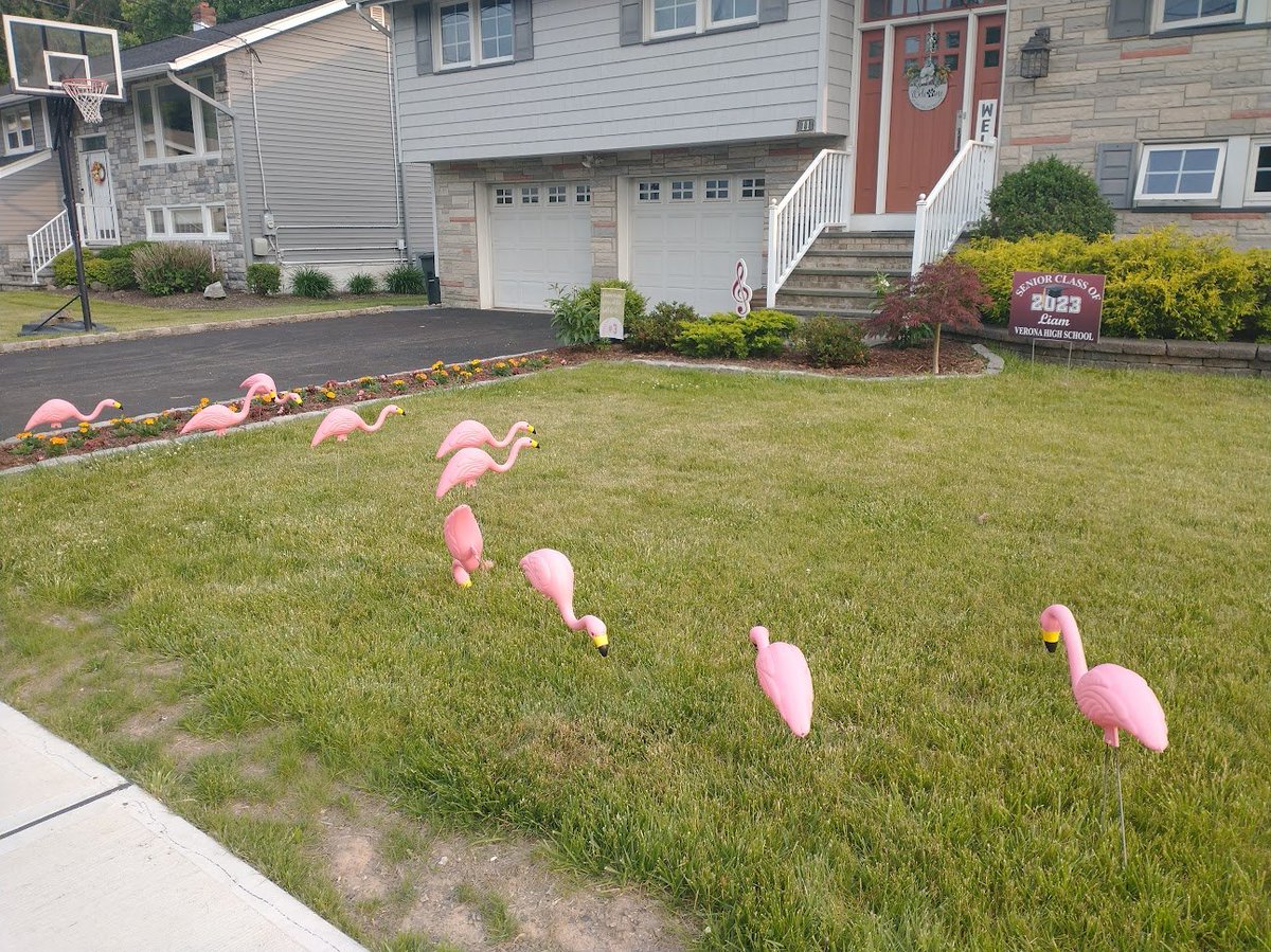 vhs spotlight players tweet media