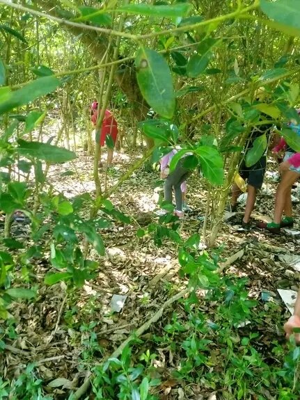 PedroGmezHernn5's tweet photo. Realizan tarea de impacto los pioneros y trabajadores de la escuela primaria Ramón Domínguez del Consejo Popular Júcaro municipio Venezuela #CiegodeÁvila en un importante ecosistema de la localidad.#ProyectoMiCosta.#MapaVerde #SinContaminacionPorPlasticos #GuerrerosDelAlba. https://t.co/HTx9HH0vAl
