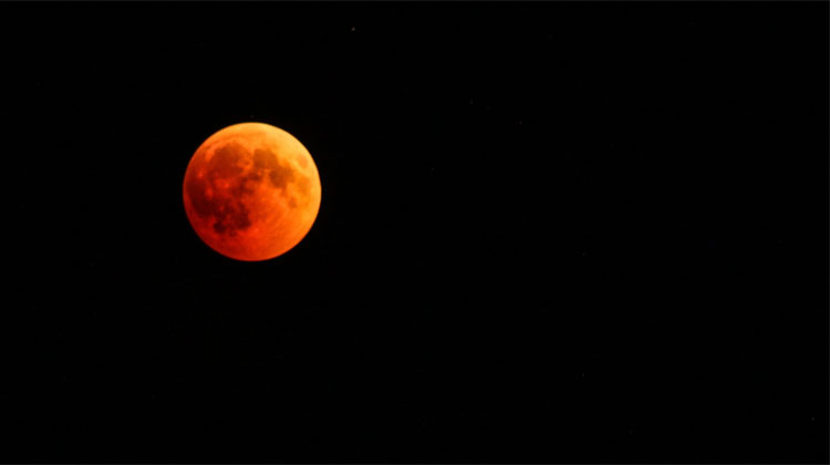djp1974's tweet photo. and the opposing faces of sun and moon
fused in one mirror.
The car had broken down.
And an arrow of blood on a boulder
pointed the way
to Aleppo.
- #JeremyReed, 'Syria' https://t.co/2Yo4rMzVGU