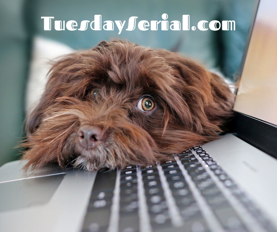 TuesdaySerial's tweet photo. 🔔 Reminder! Your #TuesdaySerial awaits. Dust off those keys, let's see those episodes. The collector opens at midnight! #AmWriting https://t.co/7cssSIabKA