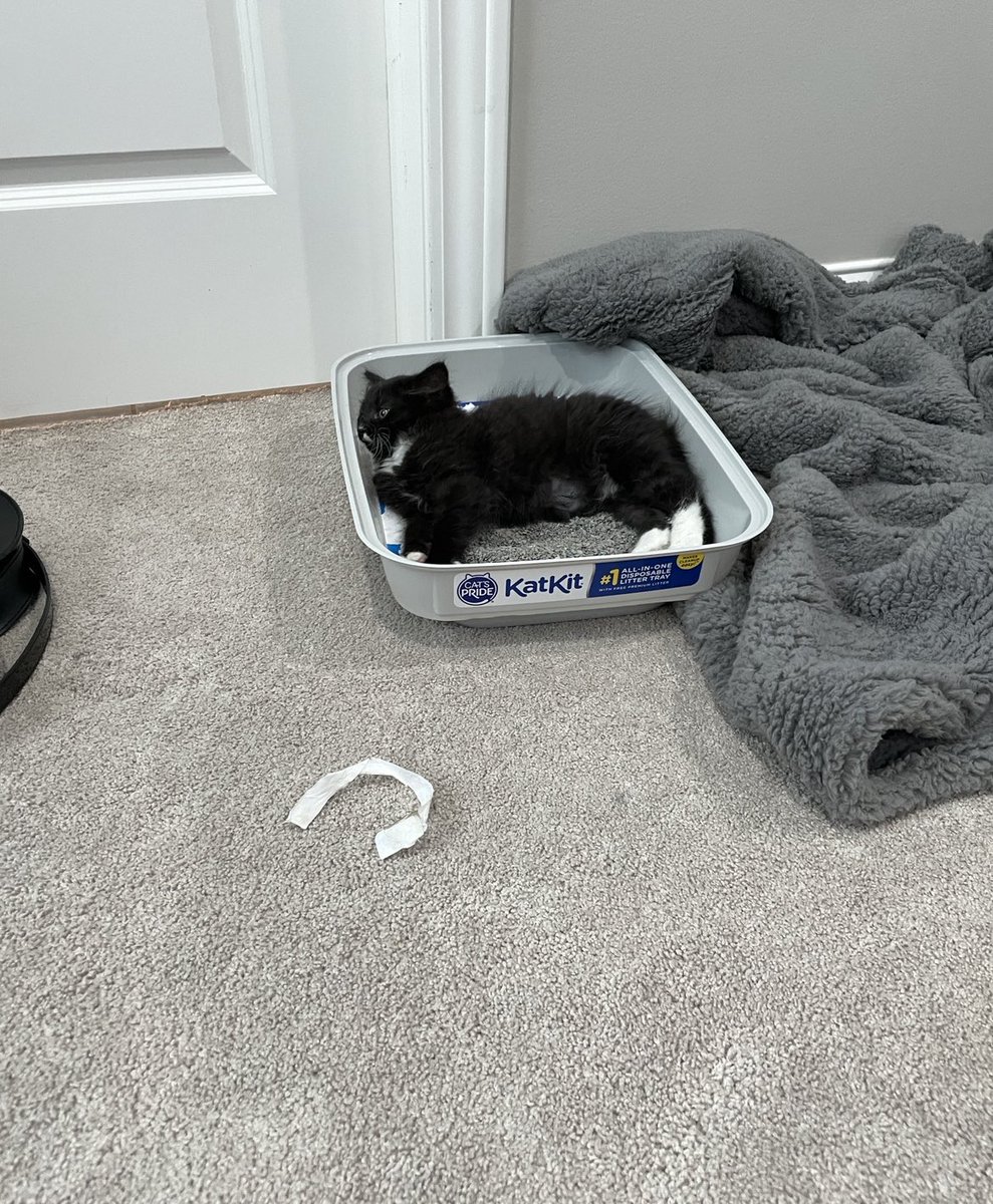 Scott Wozniak tweet media